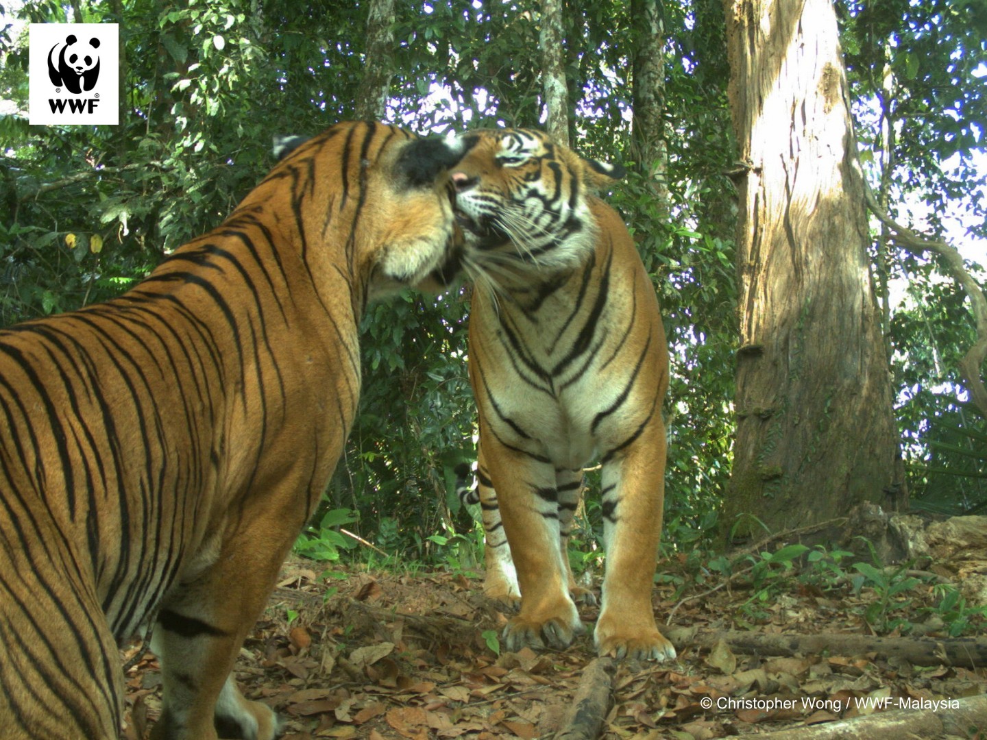 547933016_1204348671735549_4111539118484290460_n