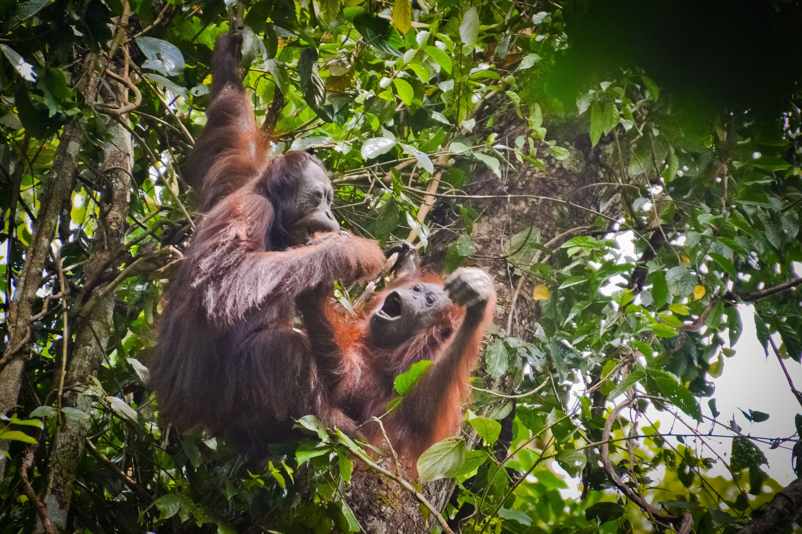 _DSC0191_DavidJames(1)