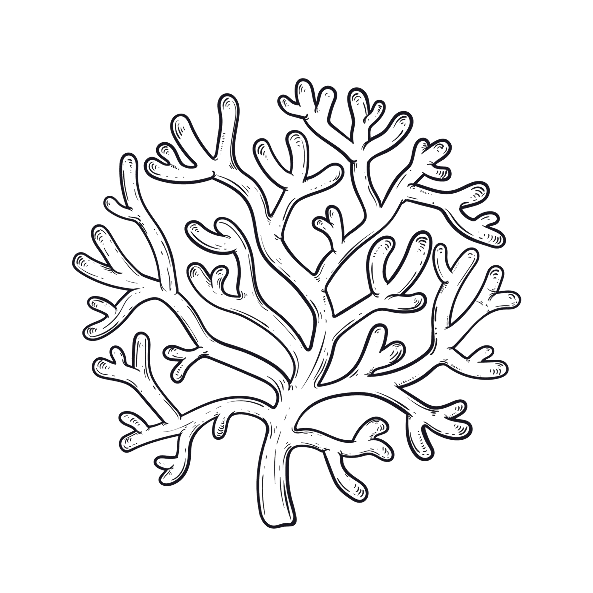 hand-drawn-seaweed-outline-illustration
