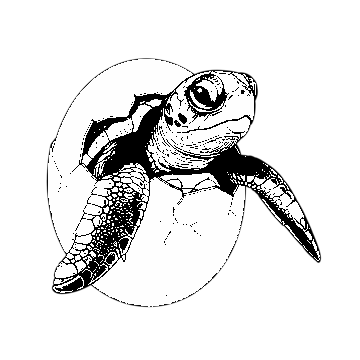 pngtree-a-detailed-illustration-of-baby-sea-turtle-hatching-from-its-cracked-png-image_18003651